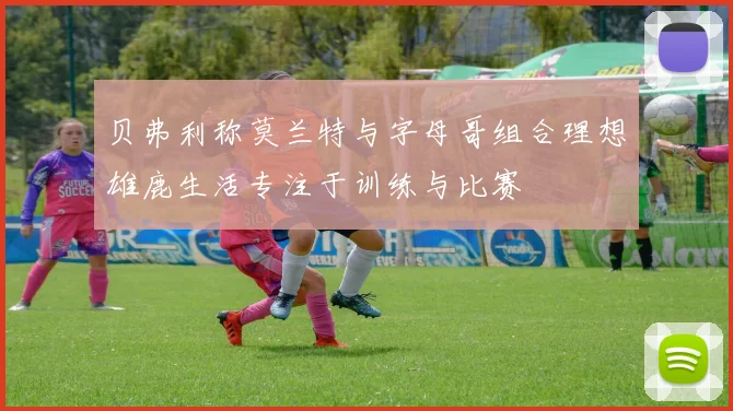 贝弗利称莫兰特与字母哥组合理想雄鹿生活专注于训练与比赛